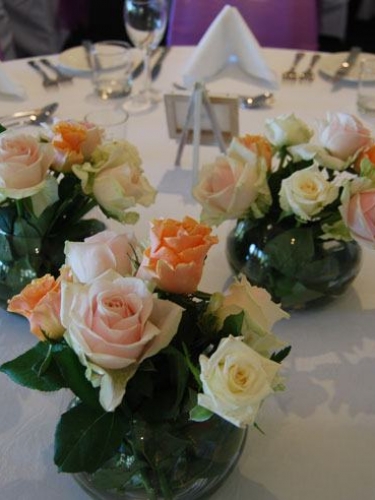 Wedding Decoration Hire Coffs Harbour Wedding Decoration Hire Coffs Harbour