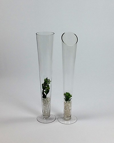 Glass Cone Vases