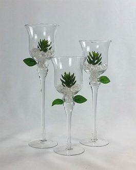 Goblet Glass Vases