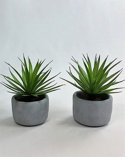 Potted Plant Grey