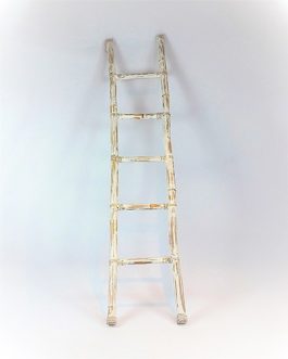 Bamboo Ladders