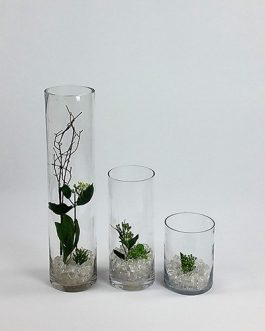 Circular Glass Short Vases