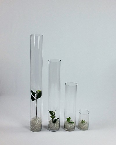 Circular Glass Tall Vases