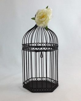 Black Bird Cage