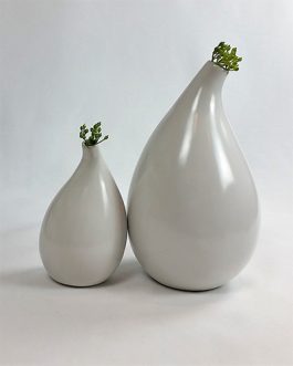 White Ceramic Vases