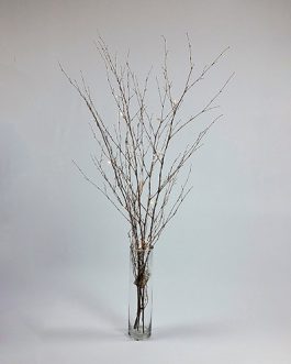Glass Cylinder 40cm Vase + Battery Fairy Light Branches