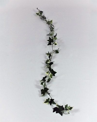 Greenery Ivy